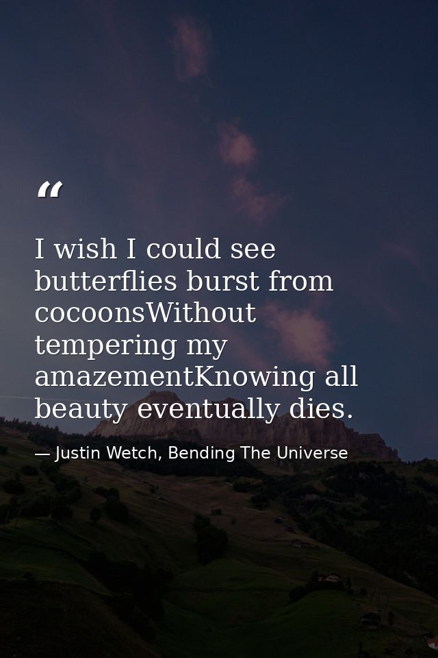 I wish I could see butterflies burst from cocoonsWithout tempering my amazementKnowing all beauty eventually dies. — Justin Wetch, Bending The Universe