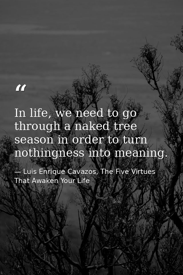 In life, we need to go through a naked tree season in order to turn nothingness into meaning. — Luis Enrique Cavazos, The Five Virtues That Awaken Your Life
