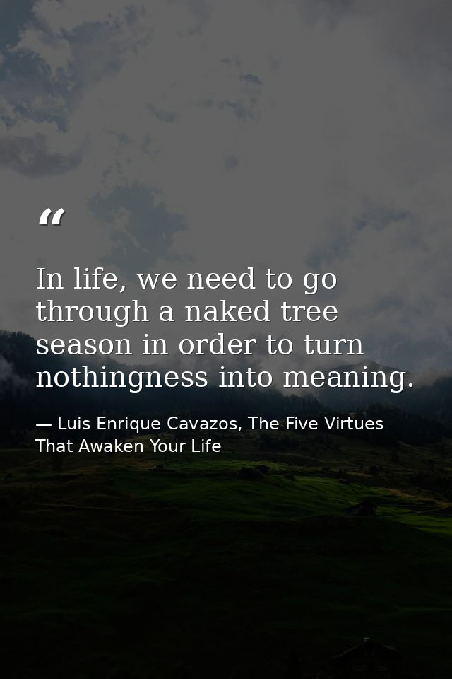 In life, we need to go through a naked tree season in order to turn nothingness into meaning. — Luis Enrique Cavazos, The Five Virtues That Awaken Your Life