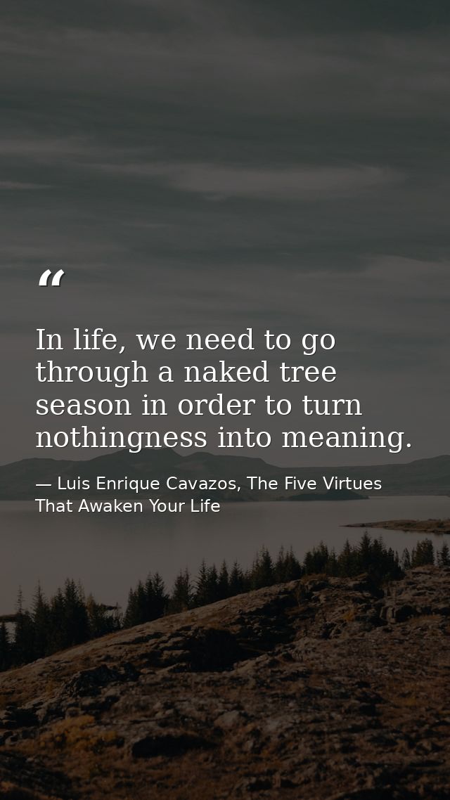 In life, we need to go through a naked tree season in order to turn nothingness into meaning. — Luis Enrique Cavazos, The Five Virtues That Awaken Your Life