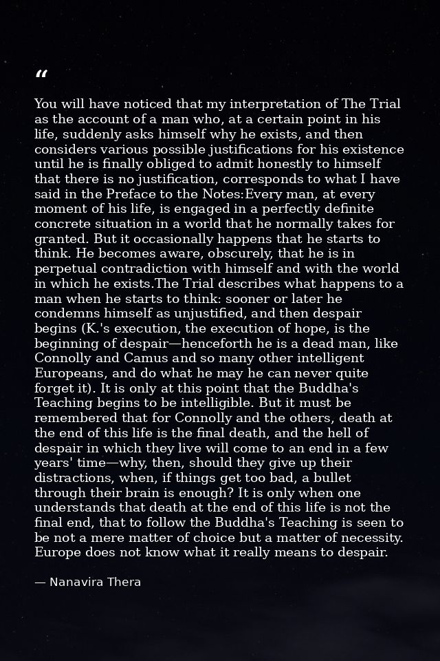 You will have noticed that my interpretation of The Trial as the account of a man who, at a certain point in his life, s — Nanavira Thera