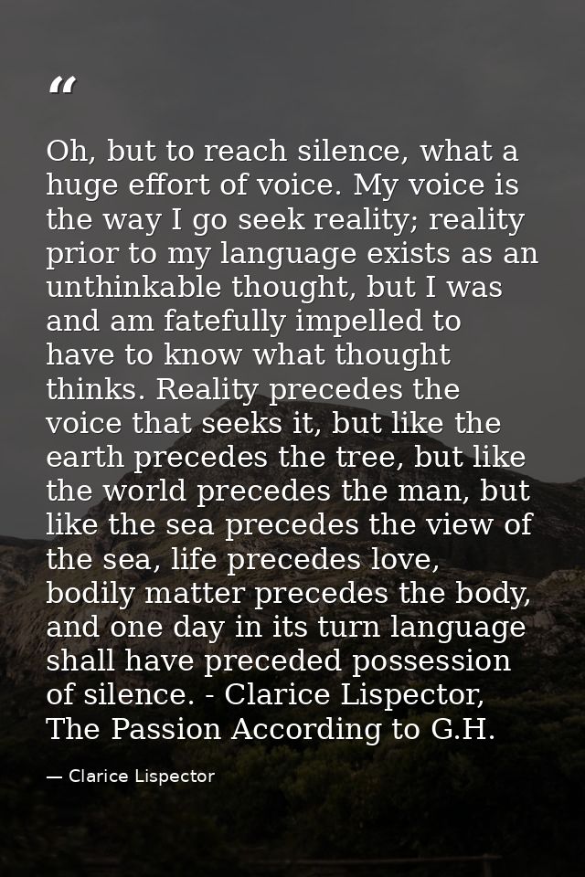 Oh, but to reach silence, what a huge effort of voice. My voice is the way I go seek reality; reality prior to my langua — Clarice Lispector