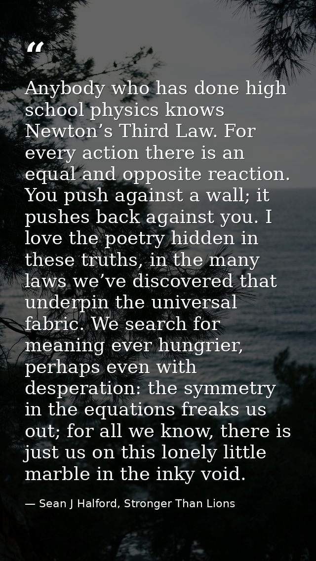 Anybody who has done high school physics knows Newton’s Third Law. For every action there is an equal and opposite react — Sean J Halford, Stronger Than Lions