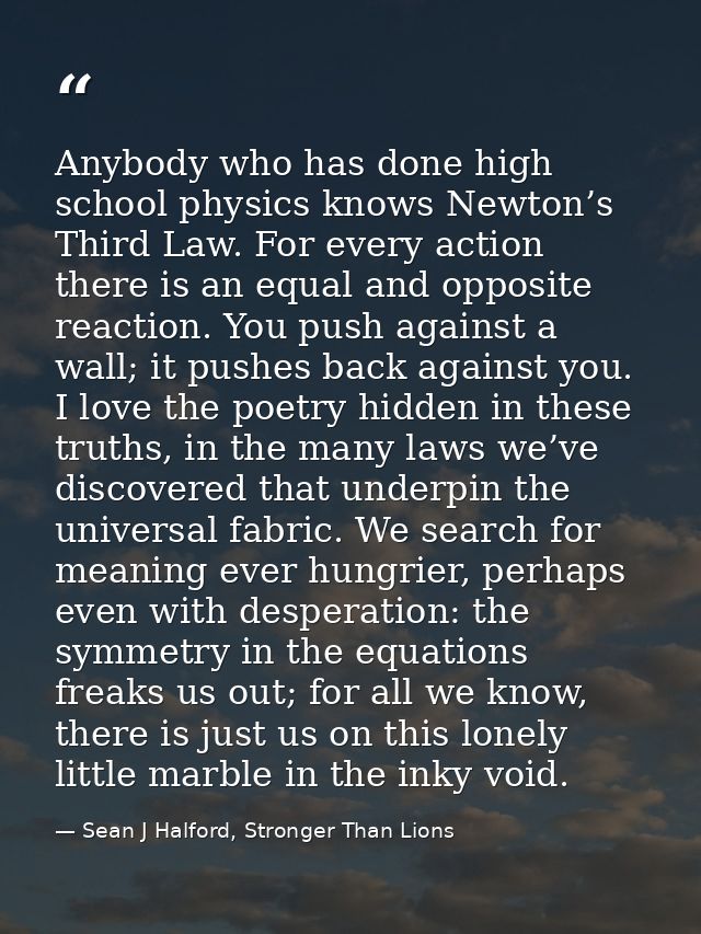 Anybody who has done high school physics knows Newton’s Third Law. For every action there is an equal and opposite react — Sean J Halford, Stronger Than Lions