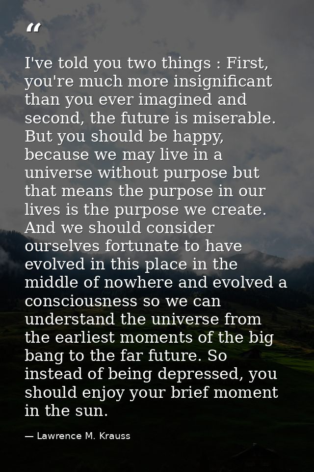 I've told you two things : First, you're much more insignificant than you ever imagined and second, the future is misera — Lawrence M. Krauss