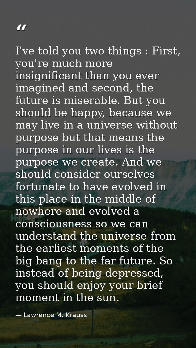 I've told you two things : First, you're much more insignificant than you ever imagined and second, the future is misera — Lawrence M. Krauss