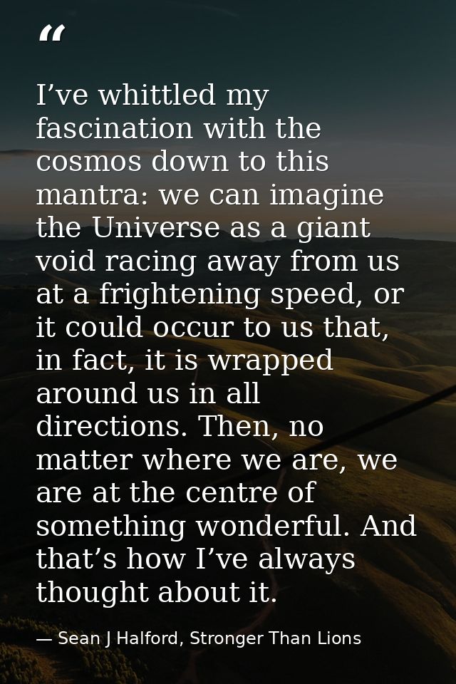 I’ve whittled my fascination with the cosmos down to this mantra: we can imagine the Universe as a giant void racing awa — Sean J Halford, Stronger Than Lions