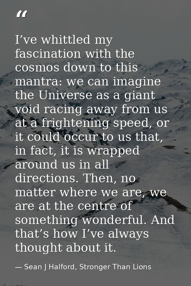 I’ve whittled my fascination with the cosmos down to this mantra: we can imagine the Universe as a giant void racing awa — Sean J Halford, Stronger Than Lions