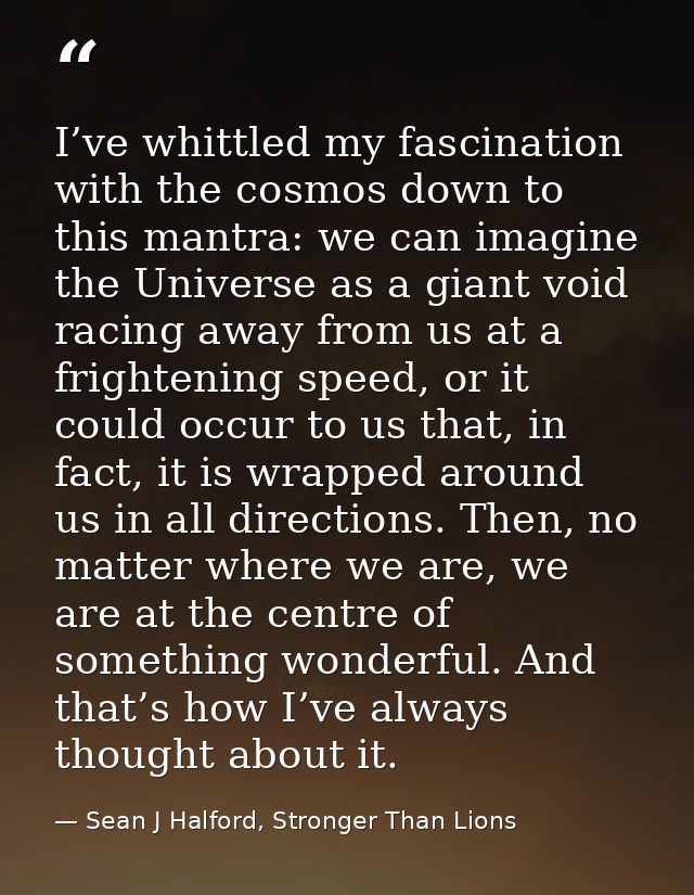 I’ve whittled my fascination with the cosmos down to this mantra: we can imagine the Universe as a giant void racing awa — Sean J Halford, Stronger Than Lions