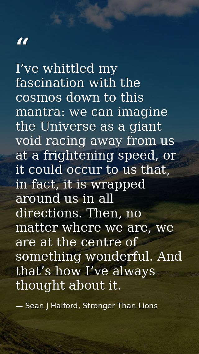 I’ve whittled my fascination with the cosmos down to this mantra: we can imagine the Universe as a giant void racing awa — Sean J Halford, Stronger Than Lions