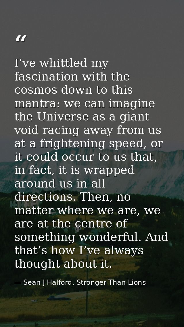 I’ve whittled my fascination with the cosmos down to this mantra: we can imagine the Universe as a giant void racing awa — Sean J Halford, Stronger Than Lions