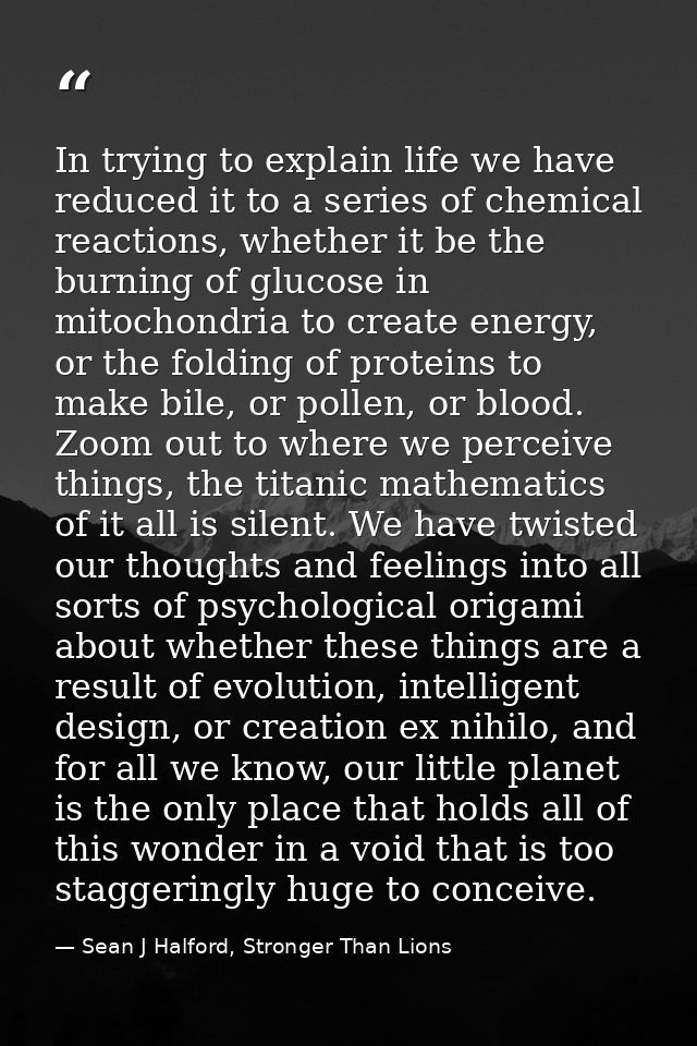 In trying to explain life we have reduced it to a series of chemical reactions, whether it be the burning of glucose in  — Sean J Halford, Stronger Than Lions