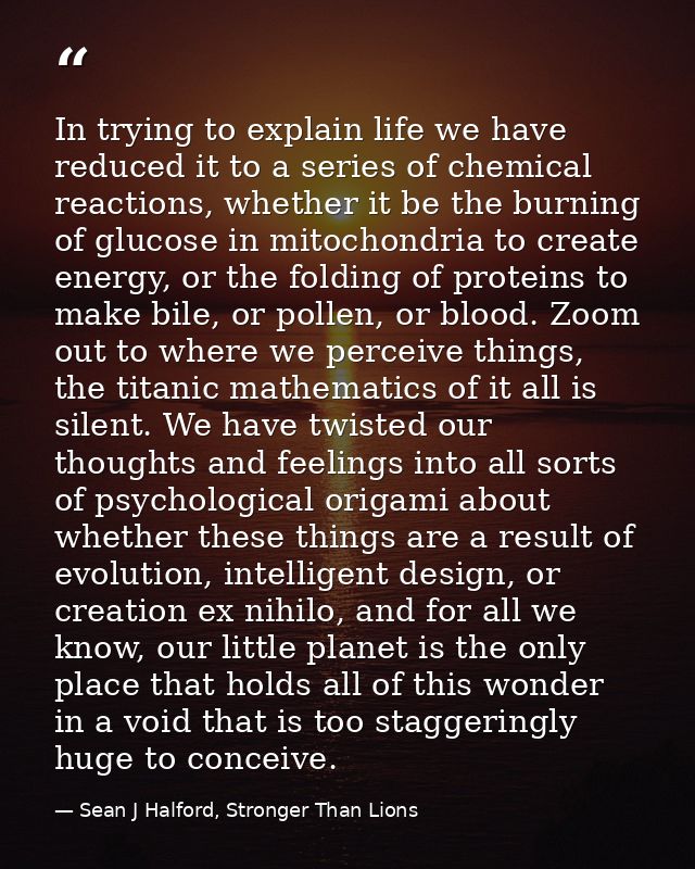 In trying to explain life we have reduced it to a series of chemical reactions, whether it be the burning of glucose in  — Sean J Halford, Stronger Than Lions