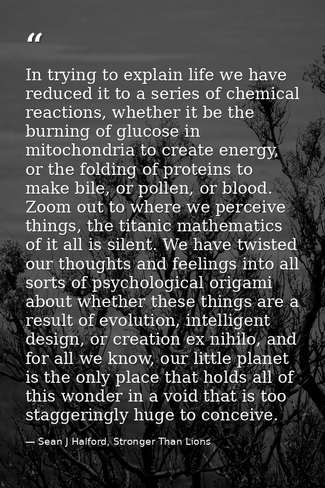 In trying to explain life we have reduced it to a series of chemical reactions, whether it be the burning of glucose in  — Sean J Halford, Stronger Than Lions