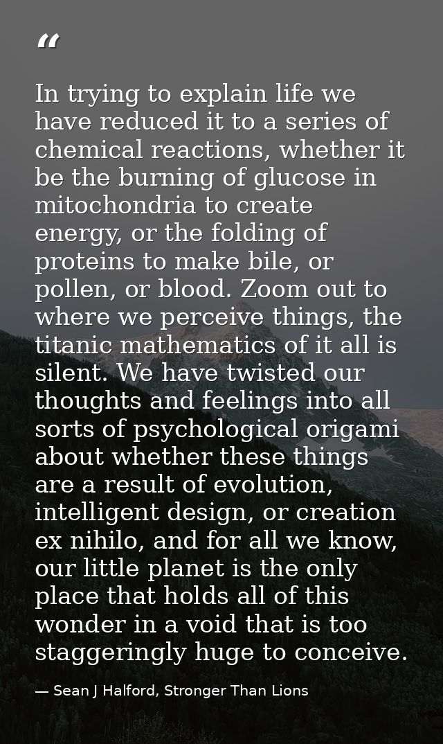 In trying to explain life we have reduced it to a series of chemical reactions, whether it be the burning of glucose in  — Sean J Halford, Stronger Than Lions
