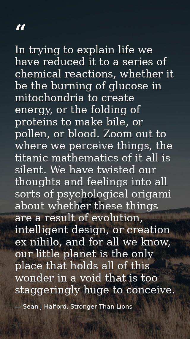 In trying to explain life we have reduced it to a series of chemical reactions, whether it be the burning of glucose in  — Sean J Halford, Stronger Than Lions