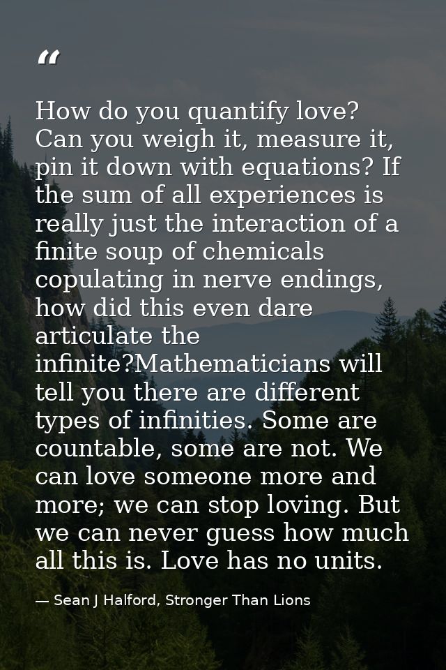 How do you quantify love? Can you weigh it, measure it, pin it down with equations? If the sum of all experiences is rea — Sean J Halford, Stronger Than Lions