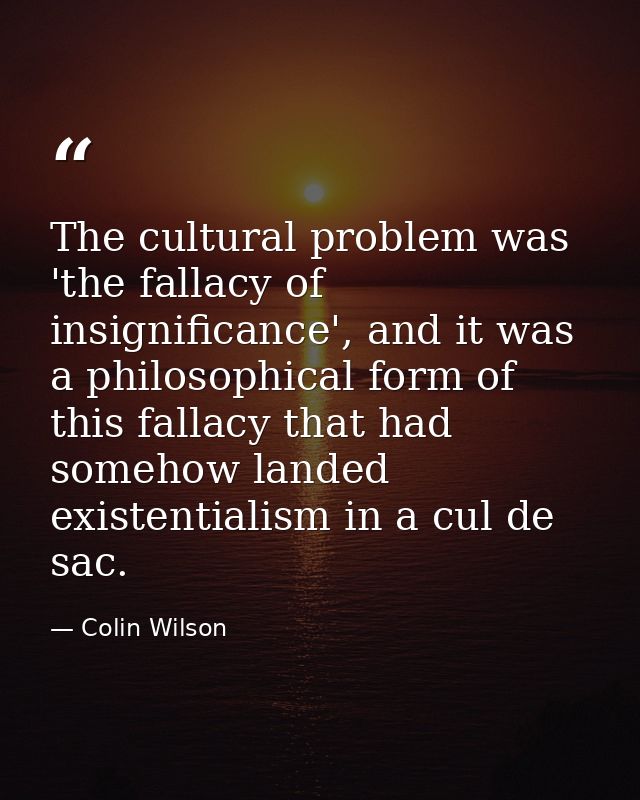 The cultural problem was 'the fallacy of insignificance', and it was a philosophical form of this fallacy that had someh — Colin Wilson