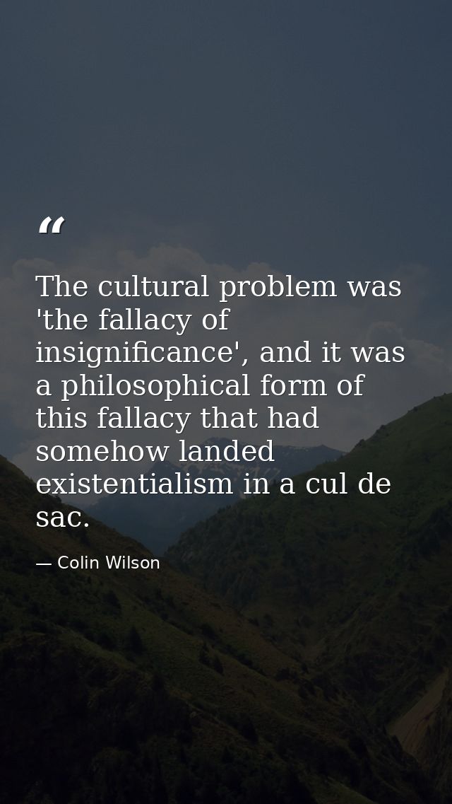 The cultural problem was 'the fallacy of insignificance', and it was a philosophical form of this fallacy that had someh — Colin Wilson