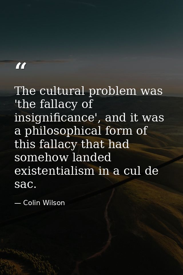 The cultural problem was 'the fallacy of insignificance', and it was a philosophical form of this fallacy that had someh — Colin Wilson