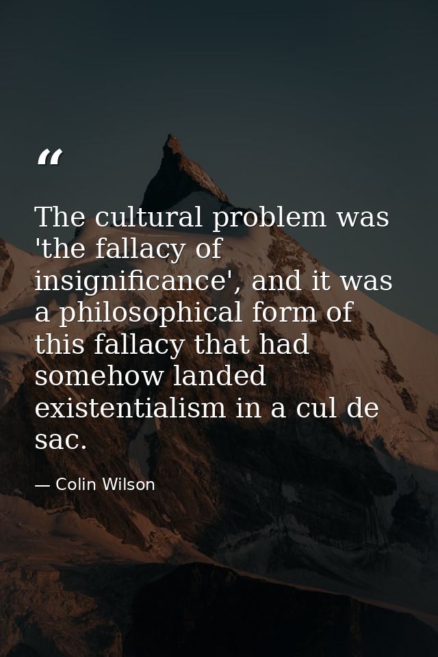 The cultural problem was 'the fallacy of insignificance', and it was a philosophical form of this fallacy that had someh — Colin Wilson