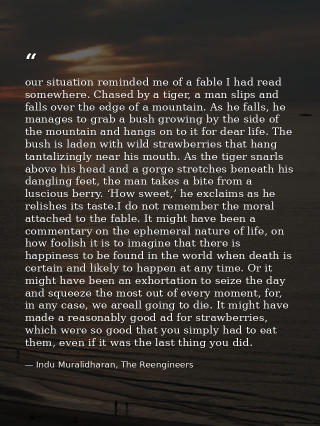 our situation reminded me of a fable I had read somewhere. Chased by a tiger, a man slips and falls over the edge of a m — Indu Muralidharan, The Reengineers