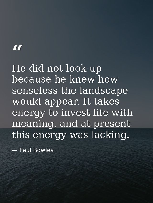 He did not look up because he knew how senseless the landscape would appear. It takes energy to invest life with meaning — Paul Bowles