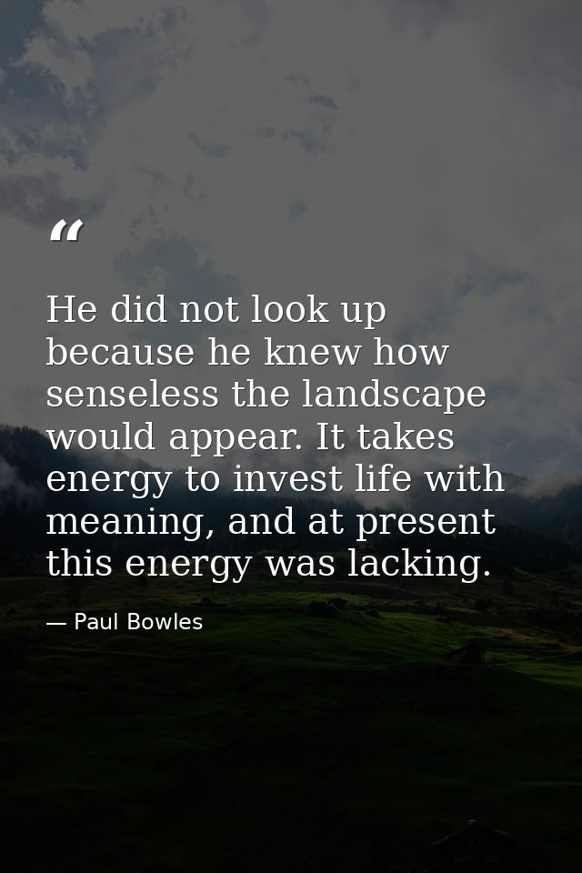 He did not look up because he knew how senseless the landscape would appear. It takes energy to invest life with meaning — Paul Bowles
