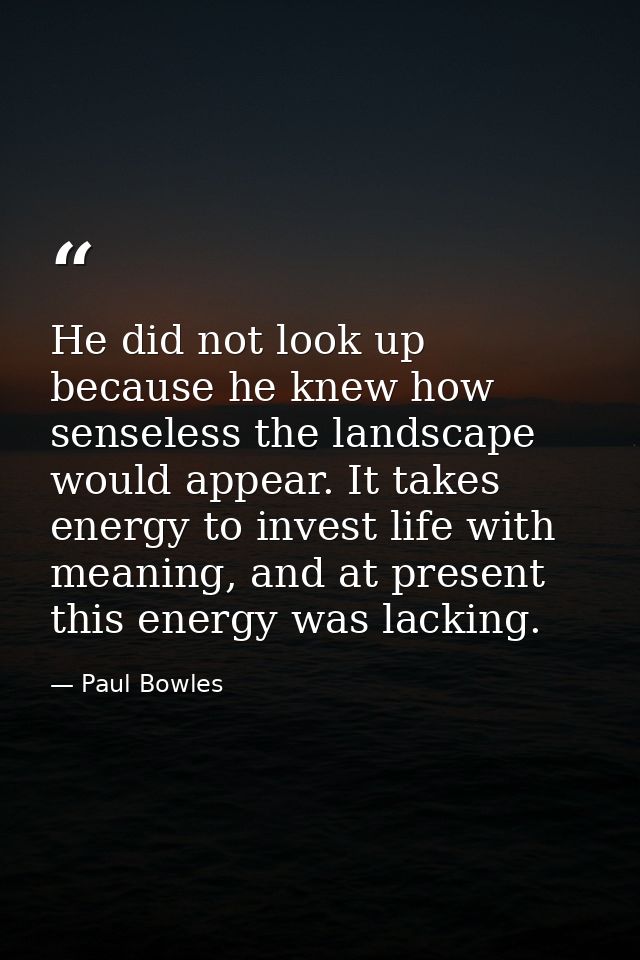 He did not look up because he knew how senseless the landscape would appear. It takes energy to invest life with meaning — Paul Bowles