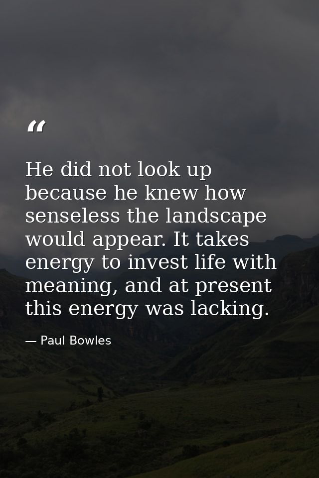He did not look up because he knew how senseless the landscape would appear. It takes energy to invest life with meaning — Paul Bowles