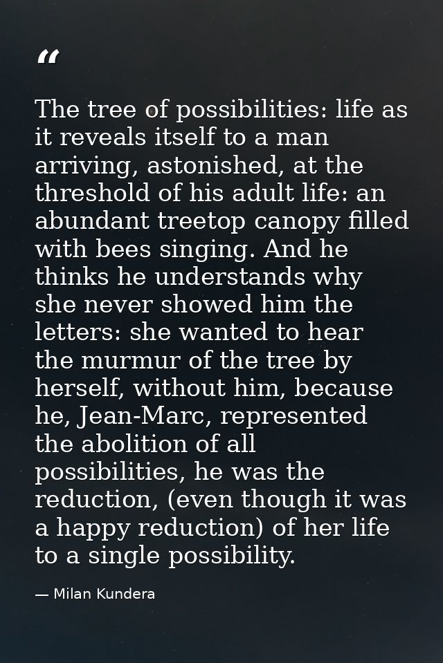The tree of possibilities: life as it reveals itself to a man arriving, astonished, at the threshold of his adult life:  — Milan Kundera