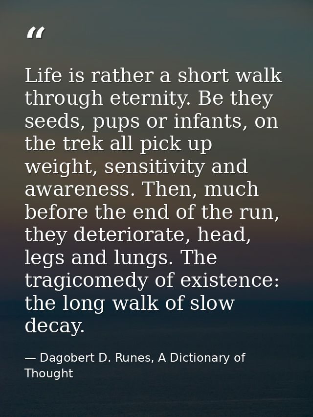 Life is rather a short walk through eternity. Be they seeds, pups or infants, on the trek all pick up weight, sensitivit — Dagobert D. Runes, A Dictionary of Thought