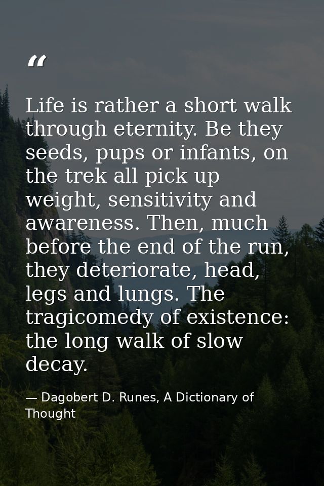 Life is rather a short walk through eternity. Be they seeds, pups or infants, on the trek all pick up weight, sensitivit — Dagobert D. Runes, A Dictionary of Thought