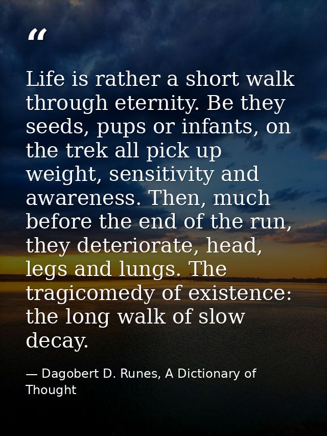 Life is rather a short walk through eternity. Be they seeds, pups or infants, on the trek all pick up weight, sensitivit — Dagobert D. Runes, A Dictionary of Thought