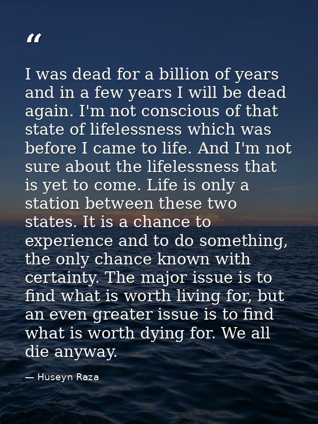 I was dead for a billion of years and in a few years I will be dead again. I'm not conscious of that state of lifelessne — Huseyn Raza