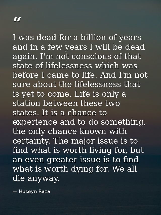 I was dead for a billion of years and in a few years I will be dead again. I'm not conscious of that state of lifelessne — Huseyn Raza