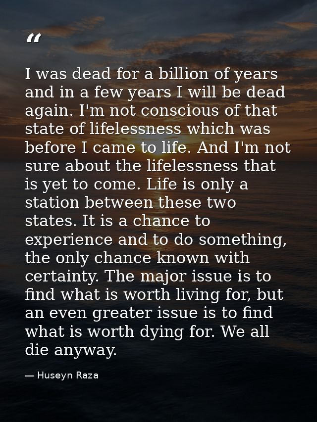 I was dead for a billion of years and in a few years I will be dead again. I'm not conscious of that state of lifelessne — Huseyn Raza