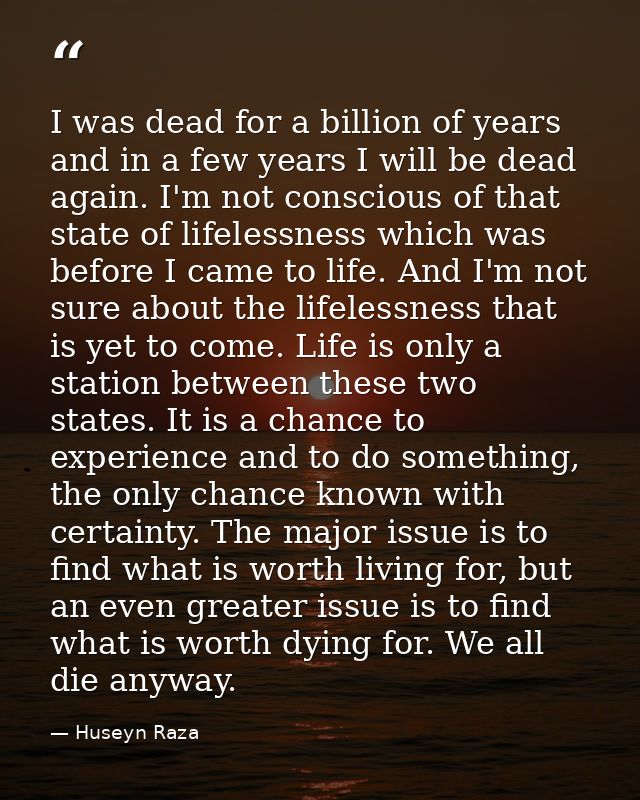 I was dead for a billion of years and in a few years I will be dead again. I'm not conscious of that state of lifelessne — Huseyn Raza
