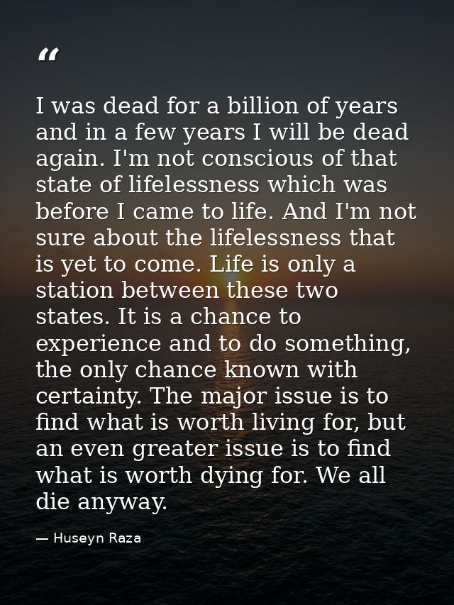I was dead for a billion of years and in a few years I will be dead again. I'm not conscious of that state of lifelessne — Huseyn Raza