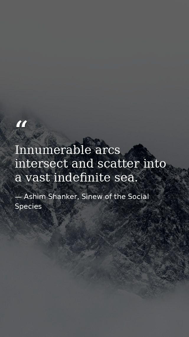 Innumerable arcs intersect and scatter into a vast indefinite sea. — Ashim Shanker, Sinew of the Social Species