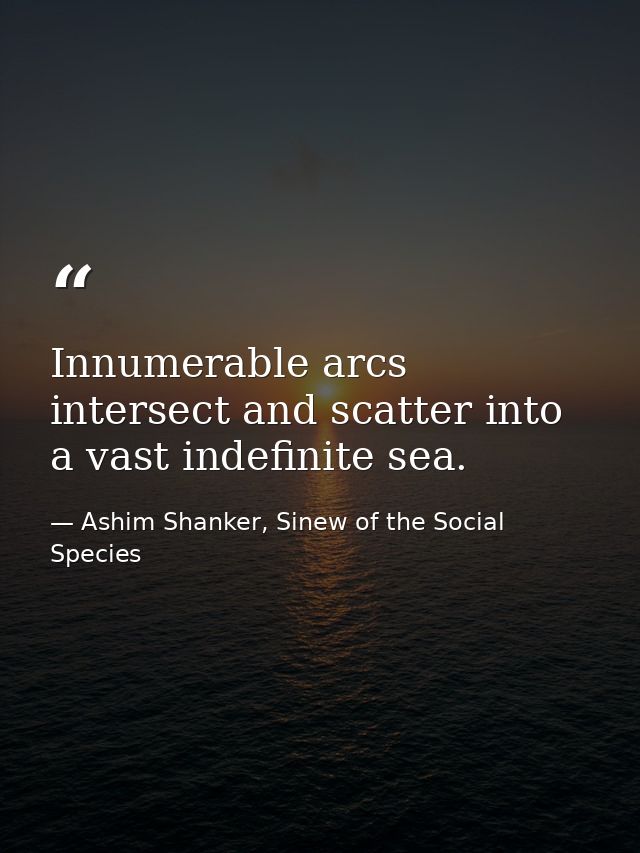 Innumerable arcs intersect and scatter into a vast indefinite sea. — Ashim Shanker, Sinew of the Social Species