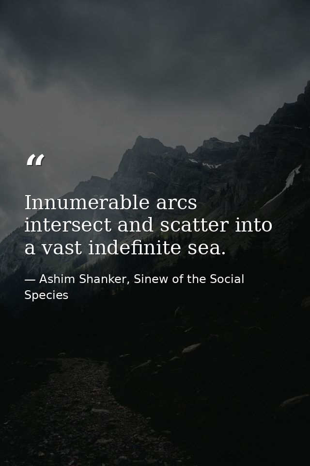 Innumerable arcs intersect and scatter into a vast indefinite sea. — Ashim Shanker, Sinew of the Social Species