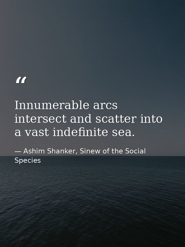 Innumerable arcs intersect and scatter into a vast indefinite sea. — Ashim Shanker, Sinew of the Social Species