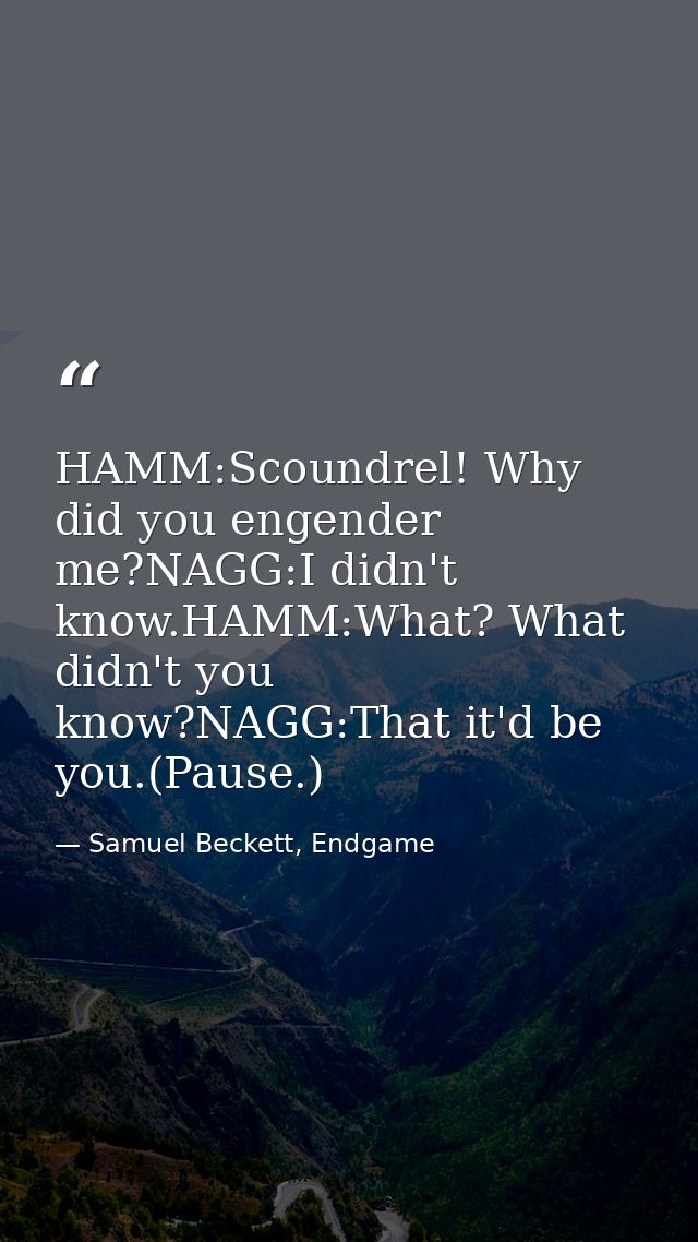 HAMM:Scoundrel! Why did you engender me?NAGG:I didn't know.HAMM:What? What didn't you know?NAGG:That it'd be you.(Pause. — Samuel Beckett, Endgame