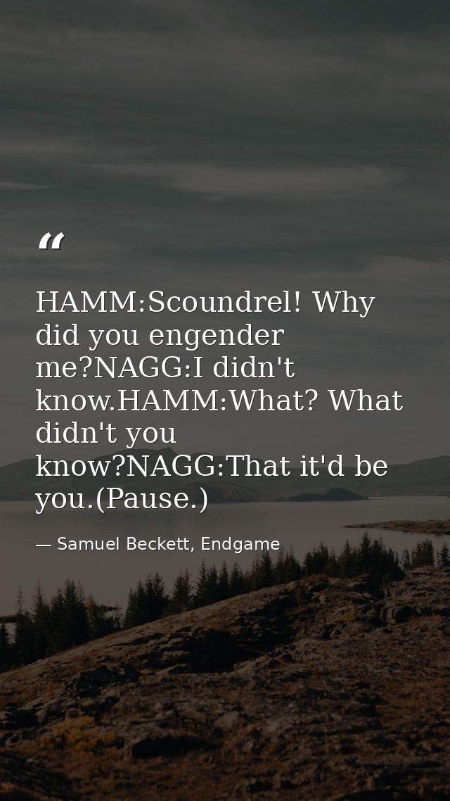 HAMM:Scoundrel! Why did you engender me?NAGG:I didn't know.HAMM:What? What didn't you know?NAGG:That it'd be you.(Pause. — Samuel Beckett, Endgame