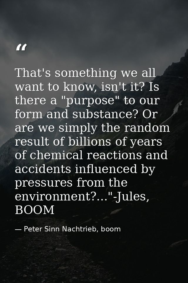 That's something we all want to know, isn't it? Is there a "purpose" to our form and substance? Or are we simply the ran — Peter Sinn Nachtrieb, boom