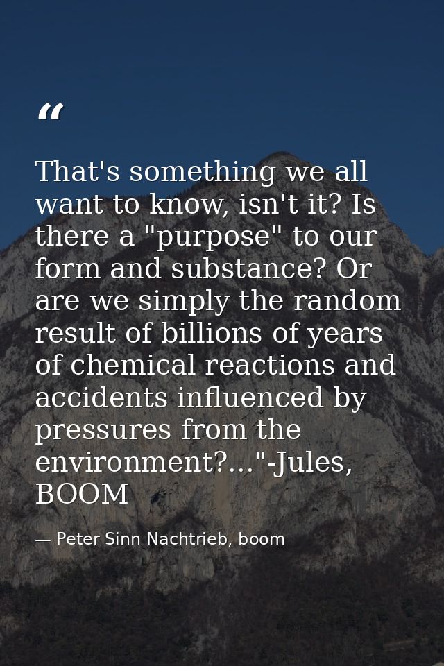 That's something we all want to know, isn't it? Is there a "purpose" to our form and substance? Or are we simply the ran — Peter Sinn Nachtrieb, boom
