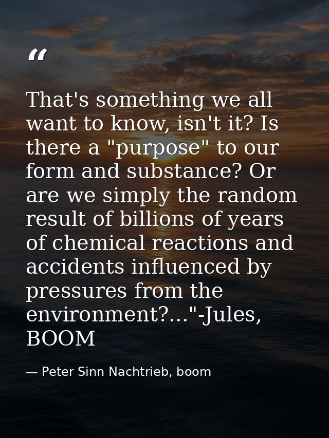 That's something we all want to know, isn't it? Is there a "purpose" to our form and substance? Or are we simply the ran — Peter Sinn Nachtrieb, boom