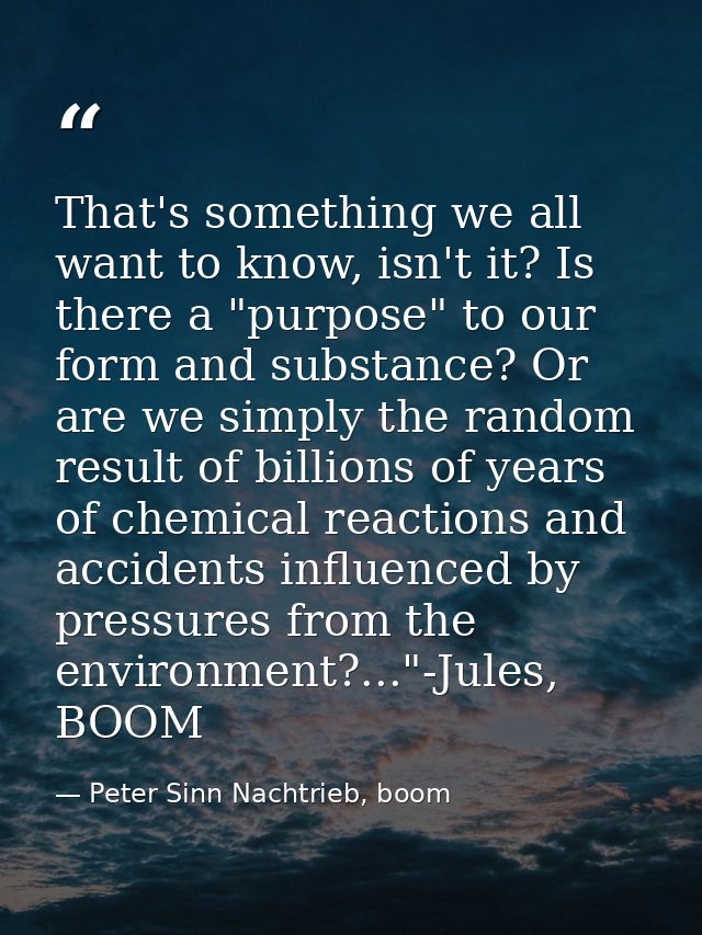 That's something we all want to know, isn't it? Is there a "purpose" to our form and substance? Or are we simply the ran — Peter Sinn Nachtrieb, boom
