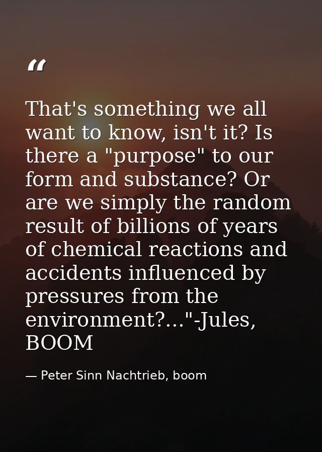 That's something we all want to know, isn't it? Is there a "purpose" to our form and substance? Or are we simply the ran — Peter Sinn Nachtrieb, boom